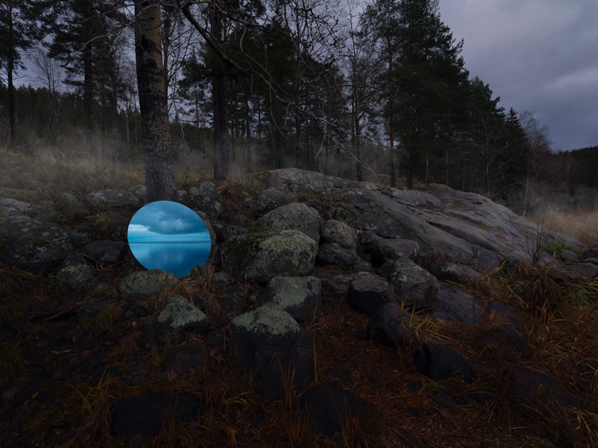 The Sacred Forest: A Key Element