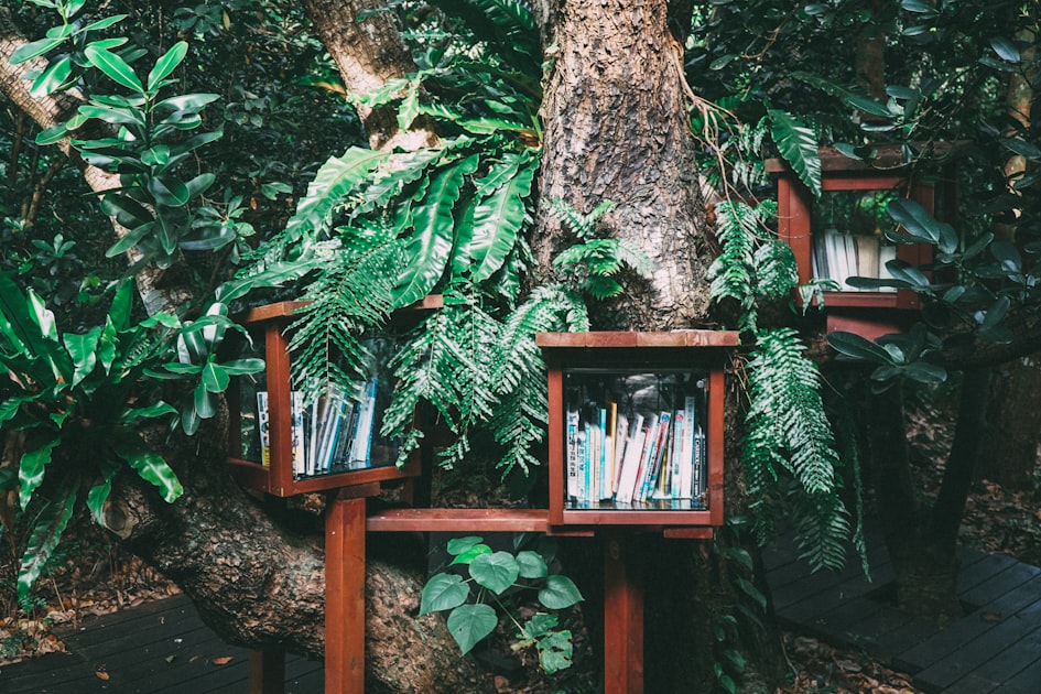 Understanding Eco-Spiritual Fantasy