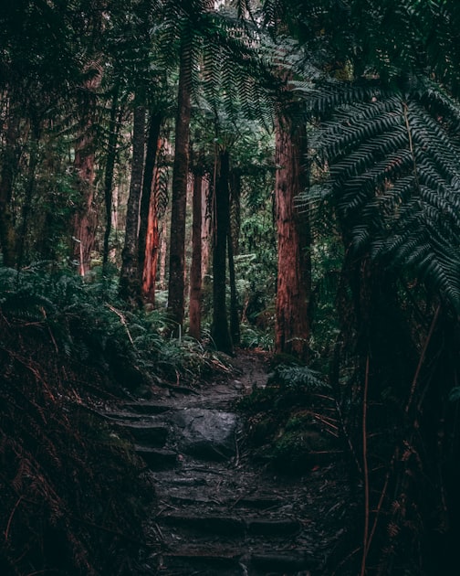 Join the Earth School Community