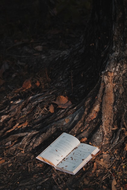 Discover Earth School: A New Fantasy
